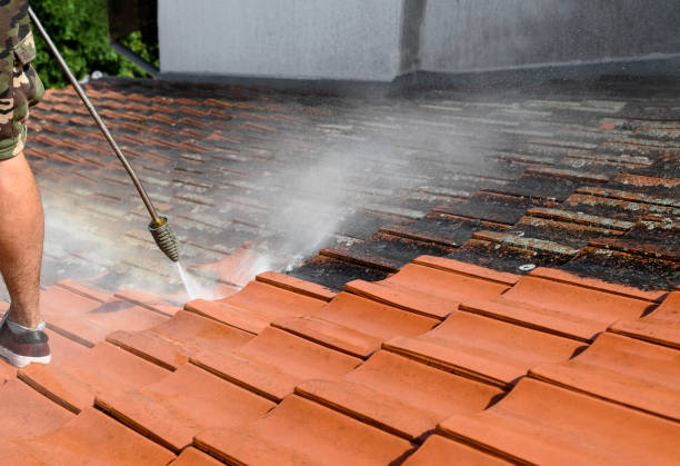 Best Residential Pressure Washing Services  in Ironwood, MI